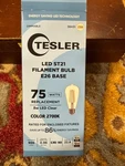 Tesler Led St21 Filament Bulbs 2700k Brand New Set Of 12. Fixed Price $25.00.