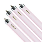 Helios 4pcs T6 Bulb, Replacement For F30t8 30w 36 T8 Fluorescent Lamp Light B.... Fixed Price $72.92.
