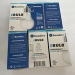Boundary Bulb Emergency Power Led Lightbulb 60 W. Fixed Price $45.00.