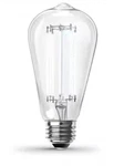 2 Feit Electric 60-watt Daylight Bright Visible Filament St19 Led Bulbs - New. Fixed Price $15.49.