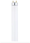 (case Of 25) Halco 109402 F32t8/841/eco Replacement Bulb T8 G5 32w 4100k. Fixed Price $110.00.