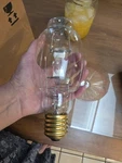 Sylvania 175w Clear High-output Bulb With Brass Base. Fixed Price $15.00.