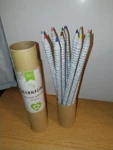 Pack Of 12 American Crafts Sustainable Journaling Recycled Paper Colored Pencils. Fixed Price $12.99.