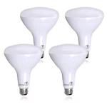 Bioluz Led 4 Pack Brightest Br40 Bulbs 90 Cri Instant On 5000k Daylight B.... Fixed Price $17.99.