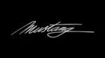Eurosport Daytona 2525-1 Lazer-tag License Plate Mustang Script Logo. Fixed Price $37.95.