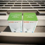 Simply Conserve 2pk Decorative Globe Light Bulbs 6w Led 40w Dimmable Warm White. Fixed Price $16.99.