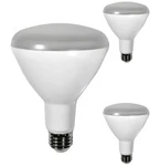 Diodesy Br30 Led Flood Light 8w 650lm E26 3500k 120v 110 Dimmable White 3pk. Fixed Price $60.08.
