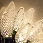 C9 Led Christmas Light Set Indoor Outdoor Home Holiday Party String Lights Decor. Fixed Price $26.99.