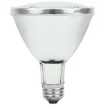Ge Specialty 45066 High Intensity Discharge Cmh 39 Watt, 2400 Lumens - Par30. Fixed Price $29.77.