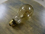 Edison Globe Light Bulb, 60 Watt Quad Loop Filament Vintage Reproduction A19. Fixed Price $6.68.