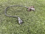 Used O2 Sensor Toyota 2jz Ge 89465-14150 Sold Individually. Fixed Price $74.99.