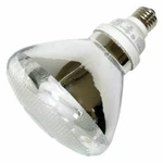 10- Cfl Par38-90 Watt Equivalent (23w) Bright White (3500k) Par Flood Light Bulb. Fixed Price $57.00.