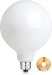 Ctrlcv Led Light Bulbs, G125 Globe Bulb,10w Bulb, Warm White 2. Fixed Price $31.99.