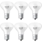 Maelsrlg E17 R14 Led Bulb, 4w (40w 6 Count (pack Of 1), Soft White 2700k. Fixed Price $30.98.