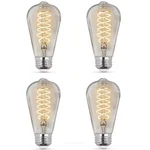 60-watt Equivalent St19 Dimmable Spiral Filament Clear Glass E26 Vintage Edison. Fixed Price $41.99.