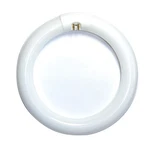 Satco S6501 8 Inch 22w T9 6500k Daylight G10q Circline Fluorescent Light Bulb. Fixed Price $11.99.