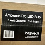 Box Of 13 Brightech Edison Shape Dimmable 2 Watt Led Bulbs-new. Fixed Price $12.45.