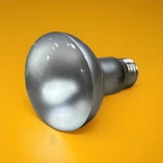 Topaz 45r20fl/130v 45w R20 Indoor Reflector Flood Bulbs 10 Unit. Fixed Price $37.80.