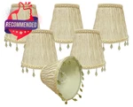 Royal Designs, Inc. Cso-1036-5agl Beaded Ruche Pleat Empire Chandelier Shade.... Fixed Price $130.70.