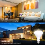 Copy Of Bioluz Led Br30 Flood Light Bulbs. Fixed Price $25.99.