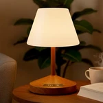 Outon Rechargeable Led Shower & Table Lamp, Waterproof, Usb Output, Stepless Dim. Fixed Price $46.54.