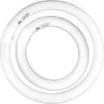Fc8t9/cw 22w And Fc12t9/cw 32w Cool White Round Fluorescent Light Bulb. Fixed Price $32.36.
