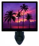 Tropical Decorative Photo Night Light, Almost Paradise, Sunset, Palm Trees. Fixed Price $26.99.