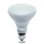 Replacement Bulb For Damar 65br30fl 130v 65w. Fixed Price $46.41.