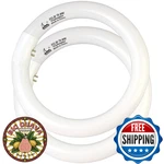 Chkadawa Fcl30/30k Circular Fluorescent Light Bulbs T9 9 Inch 30 Watts, Round Fc. Fixed Price $34.48.