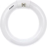Sylvania (2 Pack) Fc8t9 22w 8" Fluorescent Circular Light Bulb 3000k 1100lm G10q. Fixed Price $22.77.