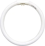 7.25 Inch T5 22w Circular Bulb Light Replacement For Floxite, Zadro, Rialto .... Fixed Price $21.00.