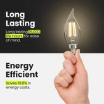 Feit Electric Cfc40927cafil6 120v 3.3w 300 Lumens Dimmable Filament Led Bulb. Fixed Price $19.00.