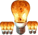 Himalayan Glow Salt Lamp Led Light Bulbs 60-watt 6 Count (pack Of 1), Amber. Fixed Price $53.72.