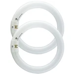 Bulbmaster Fc8t9/cw 22w 8" Round T9 Fluorescent Circular Light Bulb, Cool White. Fixed Price $40.10.