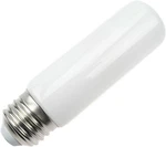Newhouse Lighting T10-2320 Modern T10 Led Bulb 2.3w (20w Equivalent) E26 Medium. Fixed Price $54.99.