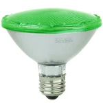 Sunlite Led Par30 Short Neck Colored Recessed Light Bulb 8w (75w Equal) Green. Fixed Price $21.81.