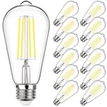 Led Edison Light Bulb Vintage Non-dimmable Daylight White 12 Pack Maxvolador. Fixed Price $38.29.