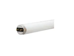 24 Pack Genuine Current Oem Ge 2'l 17w 4100k 1325 Lumens Led T8 Tubes. Fixed Price $99.99.