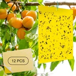 12pcs Sticky Fly Trap Paper Yellow Traps Fruit Flies Insect Glue Catcher Garden. Fixed Price $11.95.
