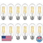 Notoc Dimmable E26 Led Light Bulb 6w,equivalent 60w,e26 Tubular Bulb,antiq. Fixed Price $50.76.