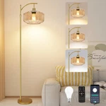Zecoxol Floor Lamp Glass Dimmable Remote Control 3 Color Brass Gold. Fixed Price $89.99.