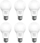 Shinestar 6x A19 Led Light Bulb 9w Equivalent 60w E26 Base 5000k Daylight White. Fixed Price $15.99.