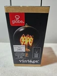 6 Globe Vintage Clear Light Bulb Brightness 245h New Edison. Fixed Price $24.95.