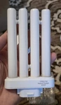 3-pack Of Celiwace Cfml27vlx 27 Watt Fluorescent Bulbs,. Fixed Price $19.99.