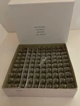 Box Of 100 #555 Bulb Lamp Light Bulbs 6.3 Volt 0.25a. Fixed Price $30.95.