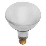 Satco S7007 - 500 Watt Br40 Dimmable Bulb 2700k Great For Pools! (1 Or 2 Pk). Fixed Price $33.11.