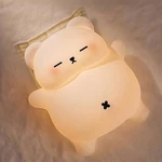 Snoring Bear Night Light Kids Led Silicone Dimmable Rechargeable Timer. Fixed Price $18.94.