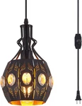 Ylong-zs Hanging Lamp Swag Lights Plug In Pendant Light,hanging With. Fixed Price $57.76.