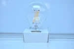 Livex Lighting 960806x10 Pear Shape, Warm White, 2700k Led Light Bulb 10 Pack. Fixed Price $79.50.