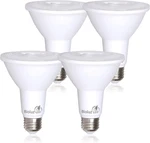 4-pack Par30 Led Light Bulbs, 10w = 100w Replacement, 3000k Soft White. Fixed Price $36.83.
